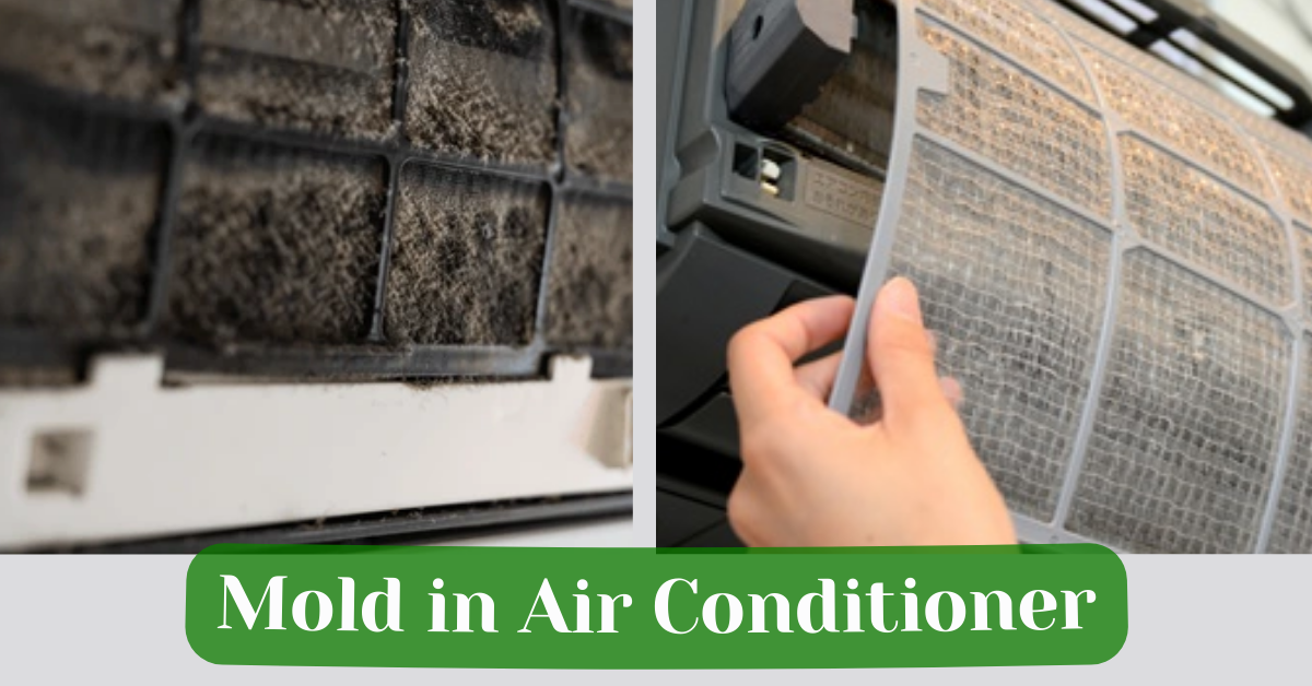 What Causes Mold in Air Conditioner? (With Solution)